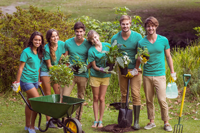 Our Tree Plantation